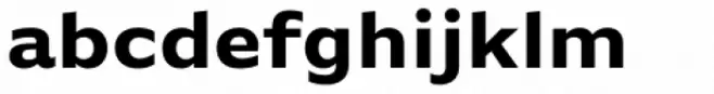 FF Basic Gothic Pro Bold
