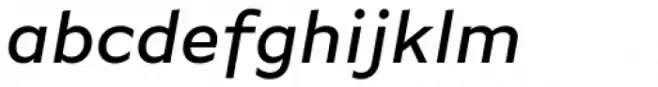 FF Basic Gothic Pro Medium Italic