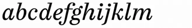 FF Casus Book Italic