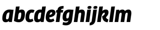 FF Clan Narrow Black Italic