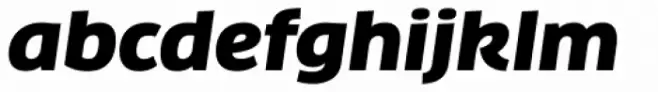 FF Clan Pro Wide Black Italic