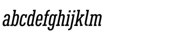 FF DIN Slab Condensed Medium Italic