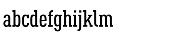 FF DIN Slab Condensed Medium