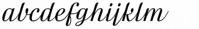 FF Danubia Script OT