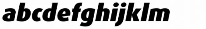 FF Dax OT Black Italic