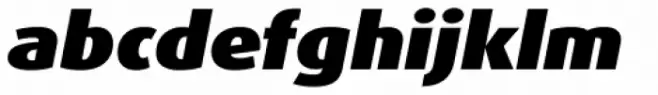 FF Dax OT Wide Black Italic