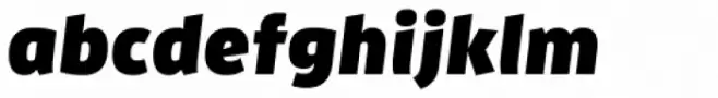 FF Enzo OT Black Italic