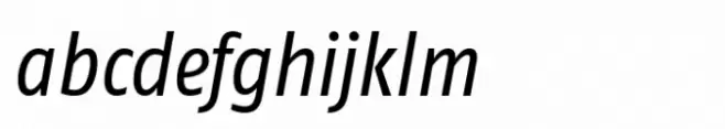 FF Fago Condensed Italic