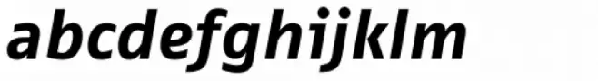 FF Fago Correspondence Sans Pro Bold Italic