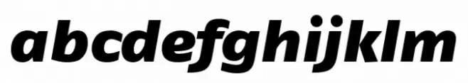 FF Fago Extended Black Italic