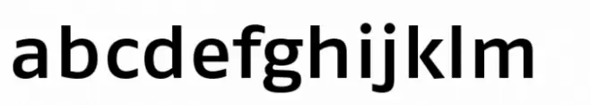 FF Fago Extended Italic