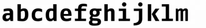 FF Fago Mono OT Bold