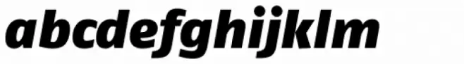 FF Fago Pro Black Italic