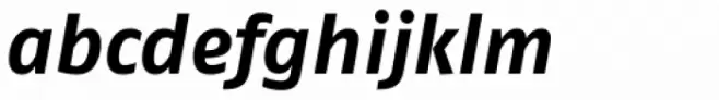 FF Fago Pro Bold Italic