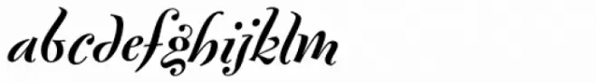 FF Fontesque Pro Bold Italic