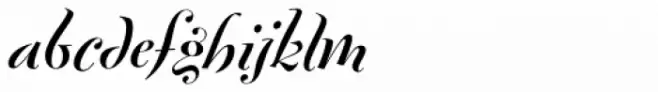 FF Fontesque Pro Display Bold Italic