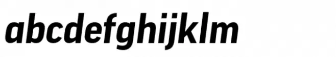 FF Good Bold Italic