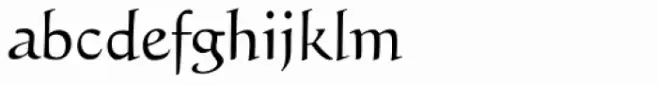 FF Humanist OT
