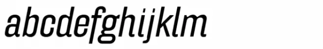 FF Hydra Extended Book Italic