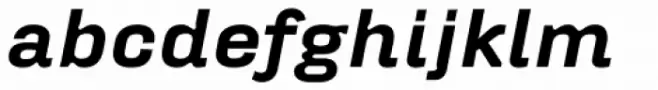 FF Hydra Std Text Black Italic