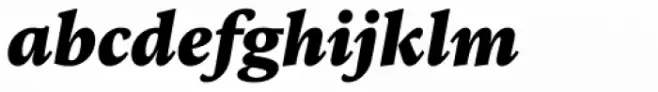 FF Kievit Serif Black Italic