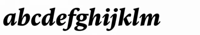 FF Kievit Serif Extrabold Italic