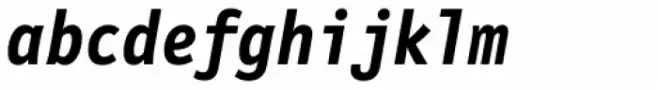 FF Letter Gothic Mono OT Bold Italic