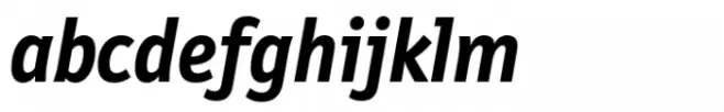 FF Letter Gothic Text Bold Italic