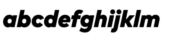 FF Mark Paneuropean Black Italic