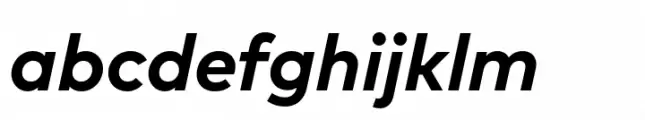 FF Mark Paneuropean Bold Italic