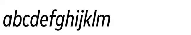 FF Mark Paneuropean Condensed Book Italic