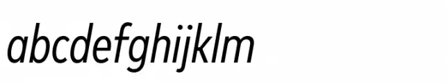 FF Mark Paneuropean Condensed Italic