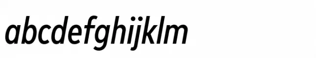 FF Mark Paneuropean Condensed Medium Italic