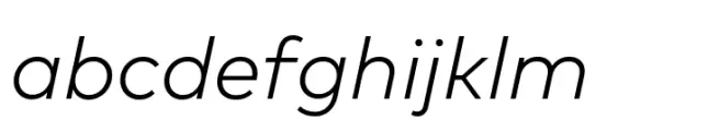 FF Mark Paneuropean Light Italic