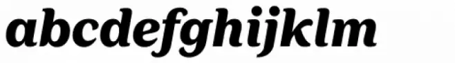 FF Marselis Serif Black Italic