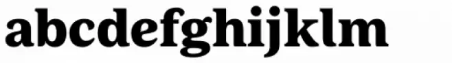 FF Marselis Serif Black