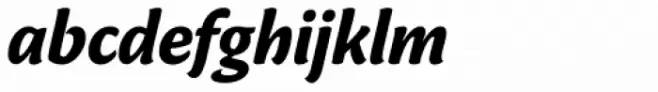 FF Masala OT Bold Italic