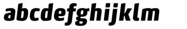 FF Max Condensed Black Italic