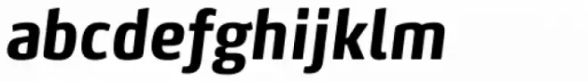 FF Max Std Condensed Bold Italic
