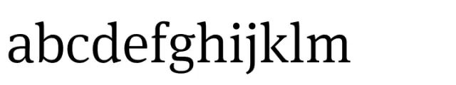 FF Meta Serif Light