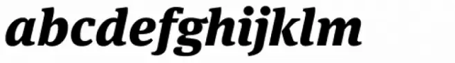 FF Meta Serif Pro Black Italic