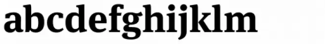 FF Meta Serif Pro Bold