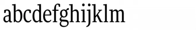 FF More Condensed Book