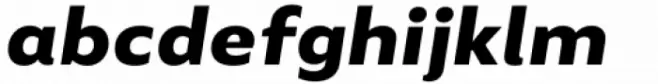 FF Mutual Bold Italic