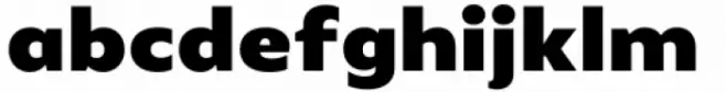 FF Mutual Extra Bold
