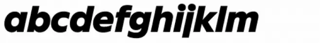 FF Neuwelt Black Italic