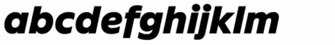 FF Neuwelt Text Black Italic