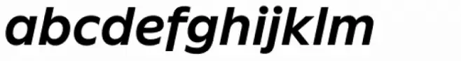 FF Neuwelt Text Bold Italic