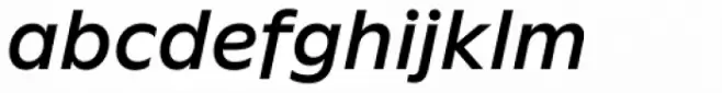 FF Neuwelt Text Medium Italic