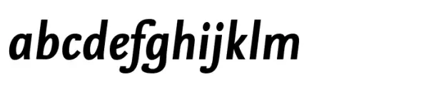 FF Nexus Sans Bold Italic